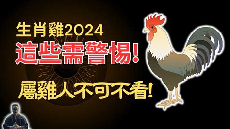 屬雞|2024屬雞幾歲、2024屬雞運勢、屬雞幸運色、財位、禁忌